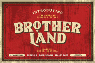 Brotherland: Building Meaningful Connections in a Fragmented World