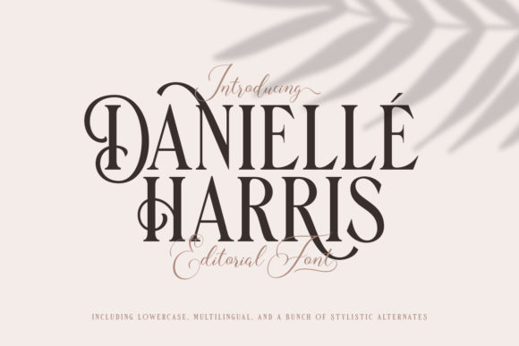 Danielle Harris: A Practical Guide for Creative Professionals