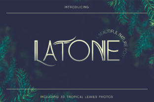 Latone: A Thoughtful Approach to Digital Clarity