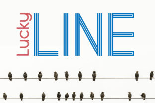 Lucky Line: A Practical Tool for Real-World Moments That Need a Little Extra Spark