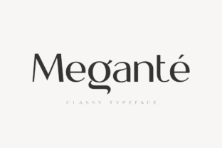 Megante: A Practical Approach to Sustainable Energy Management