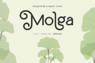Molga: A Design Asset Worth Mastering