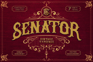 Senator: A Strategic Tool for Intentional Decision-Making