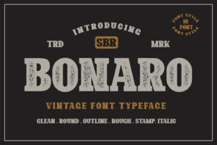 The Bonaro Family: A Practical Resource for Modern Content Creators