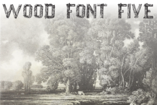 Wood Font Five: A Practical Guide