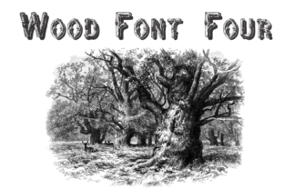 Wood Font Four: A Practical Assessment for Design and Publishing Workflows